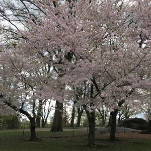 Meet your Posher, Gathyah